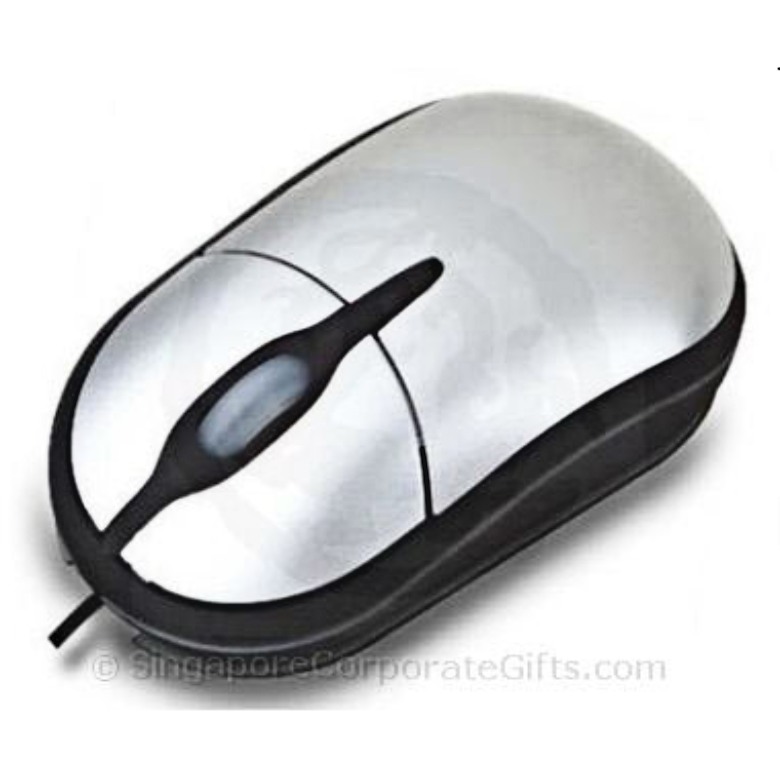 Mouse V11